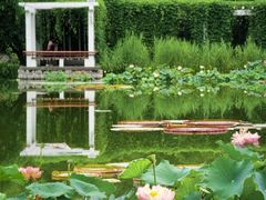 -国家植物园南园