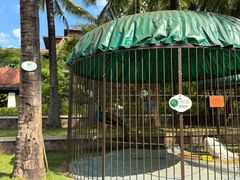 -西双版纳融创皇冠假日度假酒店