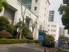 -上海市第十人民医院(总院)
