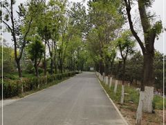 -东郊湿地公园