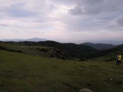 -大姆山草场
