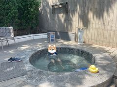 -静之湖度假区
