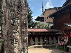 -医王山·飞騨国分寺