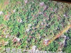 -海底捞火锅(公益西桥店)