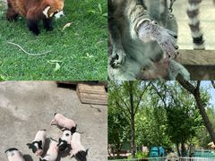 -水上乐园·欢乐世界