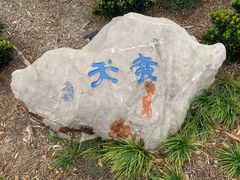 -汉庭顿图书馆