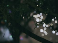 -济南南郊宾馆
