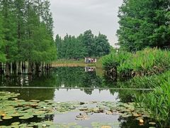 -白鹭湾湿地公园