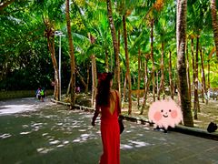 -海南分界洲岛旅游区