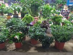 -大学城夜市大排档(凤栖路店)