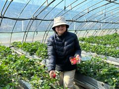 -甜心庄园·甜心草莓采摘园(西青中北店)