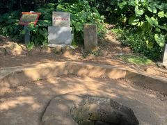 -硇洲岛旅游区