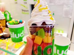 -Salud撒露欧洲冻酸奶(蓝色港湾店)