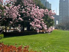 -陆家嘴中心绿地