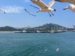 -海驴岛(荣成市)