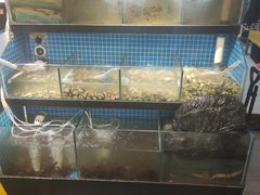 -蛙太牛牛肉海鲜自助火锅(台江万达店)