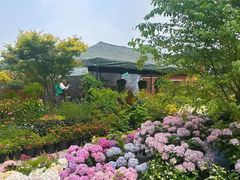 -三圣花乡旅游区