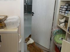 -立德动物医院·24小时中心(番禺区院区)