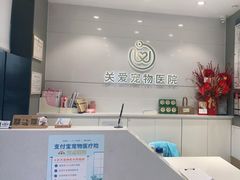 -关爱宠物医院·猫科中心·消化科(滨湖万达分院)