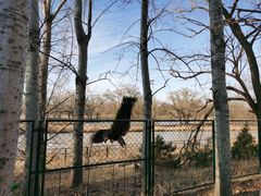 -北京麋鹿生态实验中心