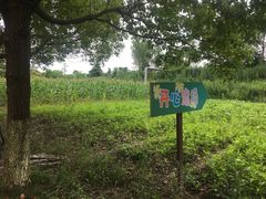 -上海都市菜园