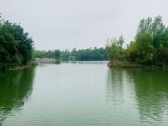 -洪泽湖古堰景区