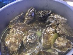 -千岛蚝高压锅生蚝·人参火锅(白云万达店)