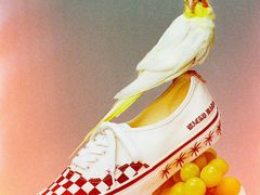 -VANS(三里屯太古里店)