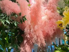 -春暖花开(西溪店)