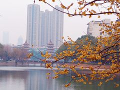 -宝岛公园