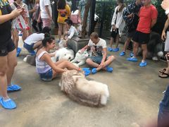 -TrueLove @ Neverland (Husky Cafe)