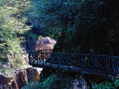 -龙湾潭国家森林公园