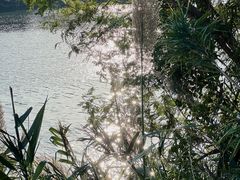 -厦门园林博览苑