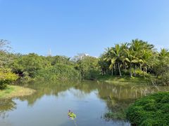 -白沙门生态公园