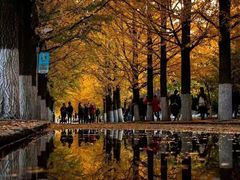 -辽东学院(南校区)