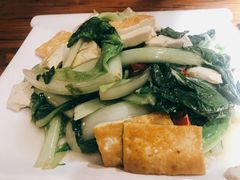 小白菜煎豆腐-洛阳面馆(红专路店)