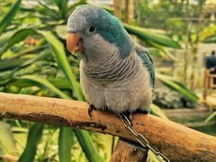 -南宫五洲植物乐园