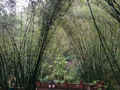 -四洞沟景区