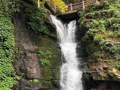 -碧峰峡风景区