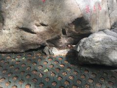 -武汉大学-樱园