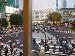 -涩谷区