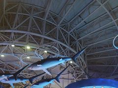 -烟台海昌鲸鲨海洋公园