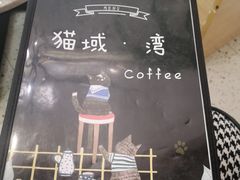 -猫域·湾主题猫咖·宠物吧(南坪城市广场店)