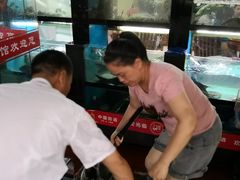 -全乐鱼馆·淳牌有机鱼直营店