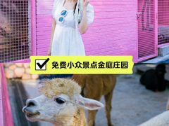 -金庭庄园酒店-停车场