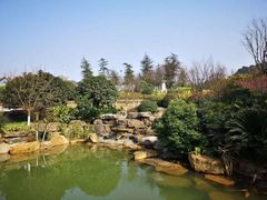 -铁山坪森林公园