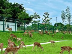-盈香心动乐园