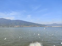 -海埂大坝