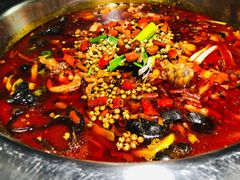 -宽口美蛙鱼头(大唐西市店)