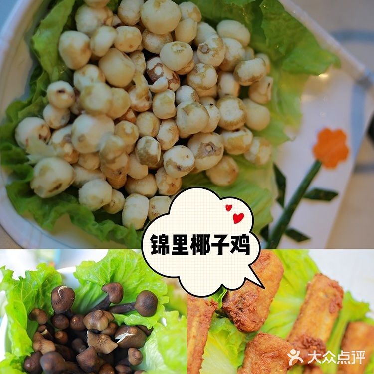 三亚亲子游‖干货分享